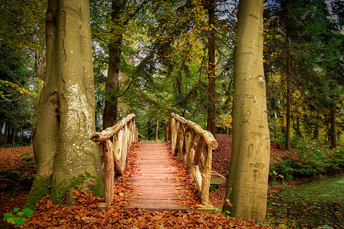 Bridge on Fraeylemaborg estate, Groningen