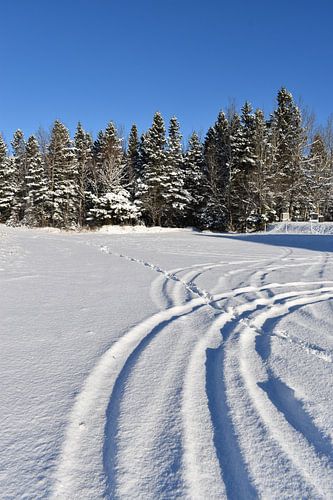Eine Schneemobilspur auf einem Feld
