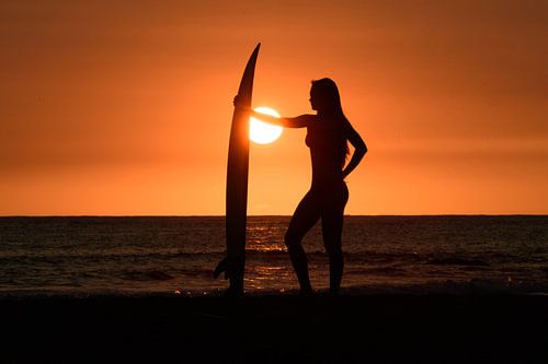 Surfing girl in Hawaii