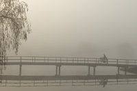 misty morning