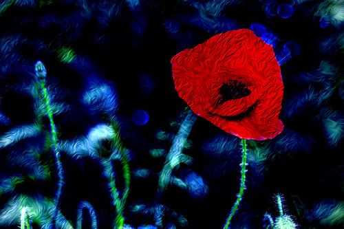 ABSTRAIT : FLORA - LE COQUELICOT SOLITAIRE