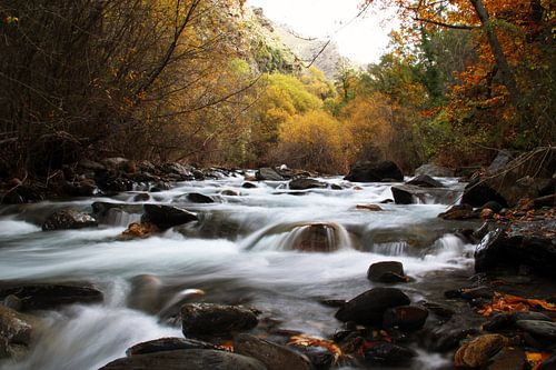 The Autumn River