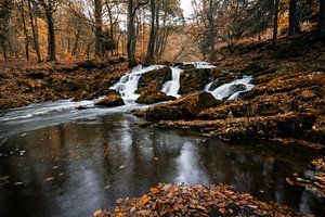 Selkefall