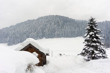 Een dik pak sneeuw in Oostenrijk