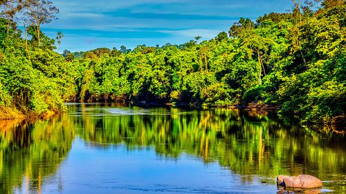 Kabalebo in Suriname