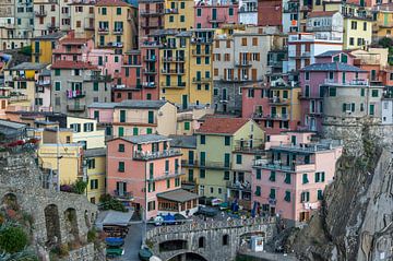 Manarola (Italien ) von Marco Liberto