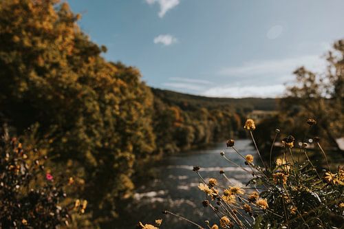 View of the waterfalls of Coo, Ardennes Wallonia, Belgium