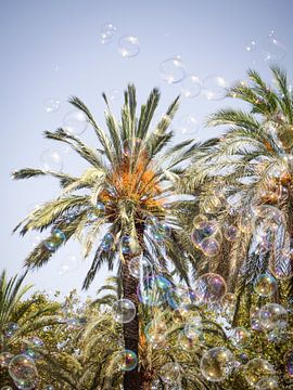 Palm tree with bubbles in Barcelona, Spain by Evelien Oerlemans