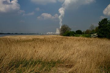 Kerncentrale Doel von Abra van Vossen