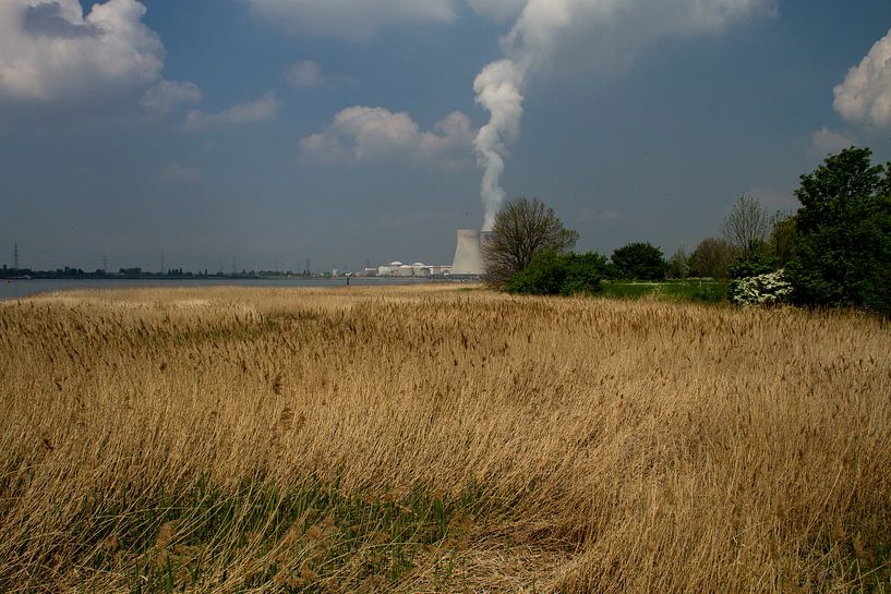 Kerncentrale Doel van Abra van Vossen