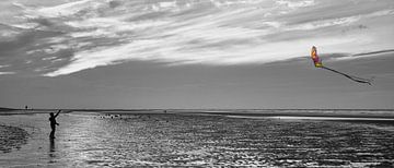 boy with kite in black and white by Miny'S