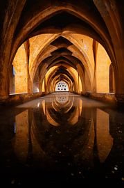 La couleur de l'Alcázar royal sur Wisse Sluijters