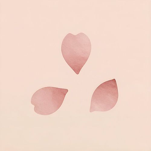 Three rose petals on pink