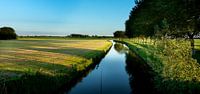 Fishing at the Warffumermaar