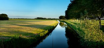 Angeln im Warffumermaar