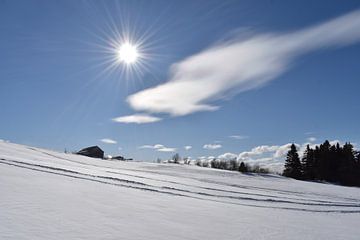 Ein verschneites Feld unter einem blauen Winterhimmel von Claude Laprise