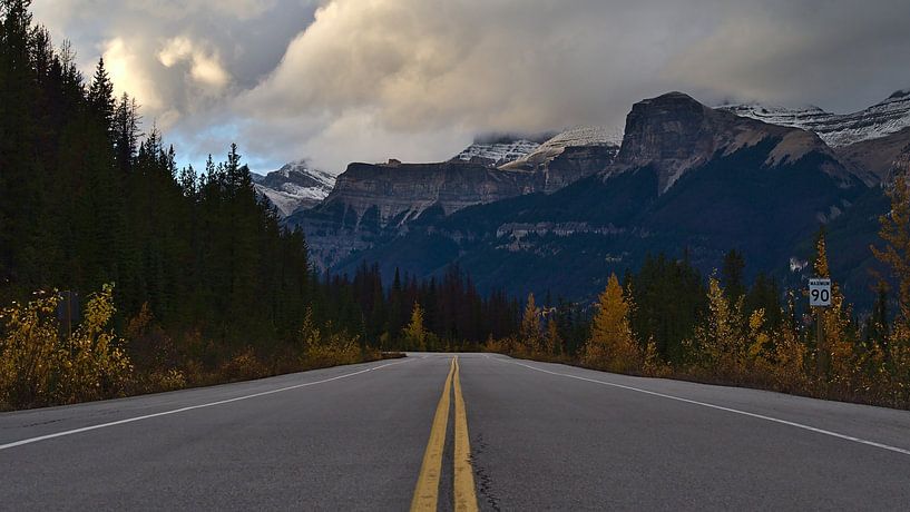 Icefields Parkway par Timon Schneider