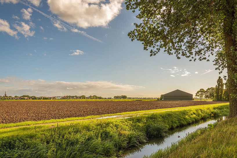 Gepflügtes Feld mit Scheune, Hoeksche Waard von Ruud Morijn