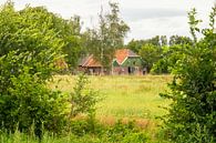 Oude boerderij - Achterhoek - midden in het groen van Marly De Kok thumbnail