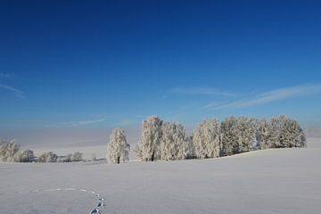 Winter von Karin Jähne