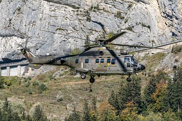 Zwitserse Eurocopter AS 532UL Cougar (T-334). van Jaap van den Berg