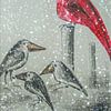 Nebelkrähen - Erster Schnee von Christine Nöhmeier