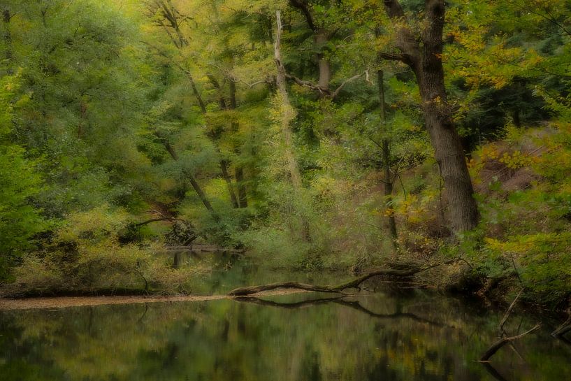 Puddle in the woods by Douwe Schut