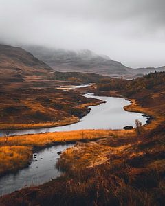 Herbstflüstern, neblig