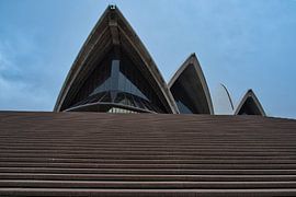 Monumental Steps of the Sydney Opera House by Frank's Awesome Travels