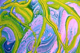 Labyrint van Kleur van Joke Gorter