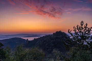 Guten Morgen Elbsandstein Gebirge von Marc-Sven Kirsch