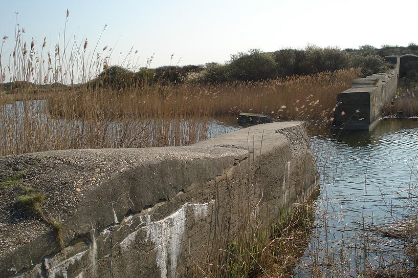 Landscape - The Netherlands 3 par Lyn Van Veldhoven