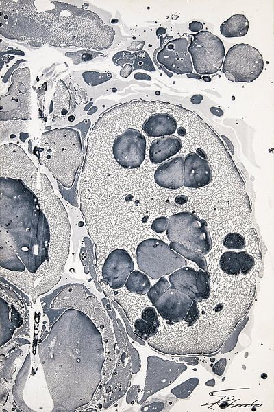 La cellule par Sebastian Rohnacher