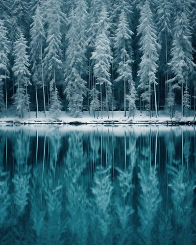 Winter magic on the lake