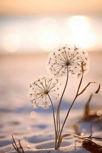 Impressions de plage No 5