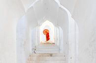 Monnik in de tempel van Antwan Janssen thumbnail