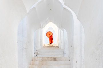 Monk in the temple by Antwan Janssen
