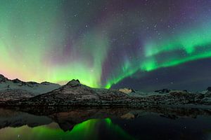 Nordlichter, Polarlicht oder Aurora Borealis im nächtlichen Himmel über den Lofoten Inseln in Nord-N