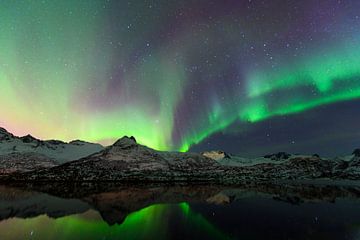 Nordlichter, Polarlicht oder Aurora Borealis im nächtlichen Himmel über den Lofoten Inseln in Nord-N von Sjoerd van der Wal