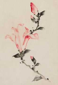 Japanese art. Large Pink Blossom on a Stem ... by Katsushika Hokusai. by Dina Dankers