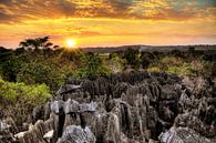 Tsingy de Bemaraha zonsondergang van Dennis van de Water thumbnail