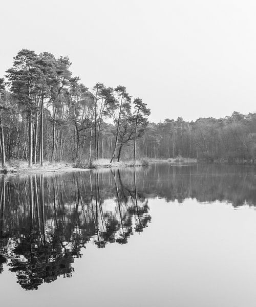 Silence in nature, to dream away for a while by Alice's Pictures