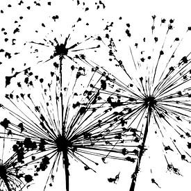 Allium abstrakte Fotografie von Caroline Guerain