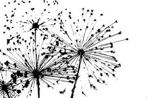Moderne Blumen in Schwarz und Weiß