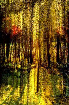 Vergessene Begegnung