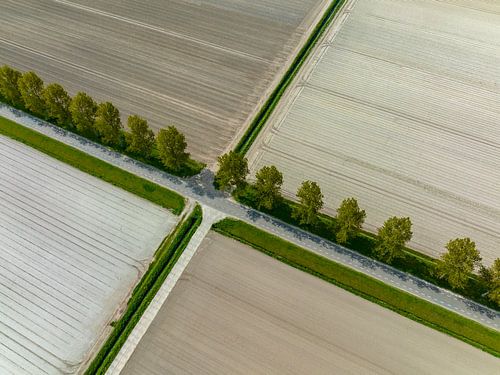 Kruispunt in een landelijk gebied met rechte lijnen van bovenaf gezien