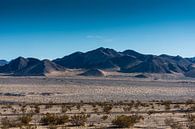 Mojave woestijn -4 van Keesnan Dogger Fotografie thumbnail