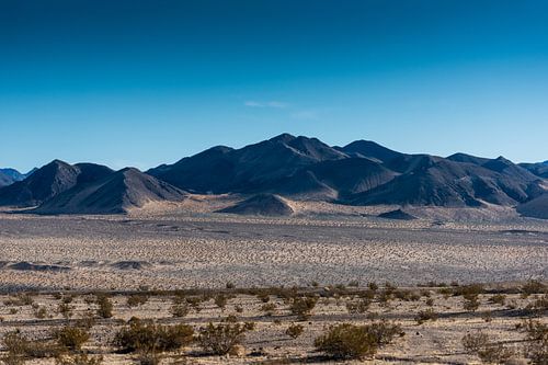 Mojave woestijn -4