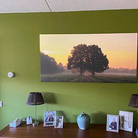 Klantfoto: Two oaks van Marcel van Rijn, op canvas