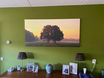 Customer photo: Two oaks by Marcel van Rijn
